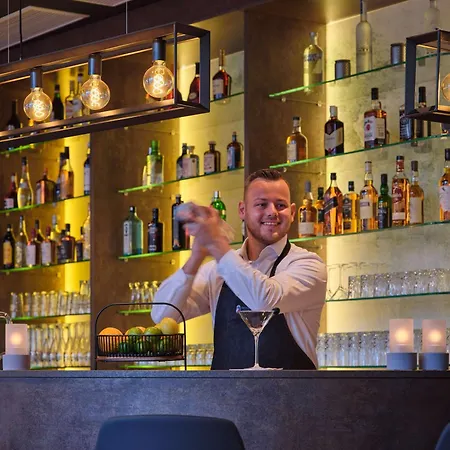 Hotel Dorint Parkhotel Frankfurt / Bad Vilbel